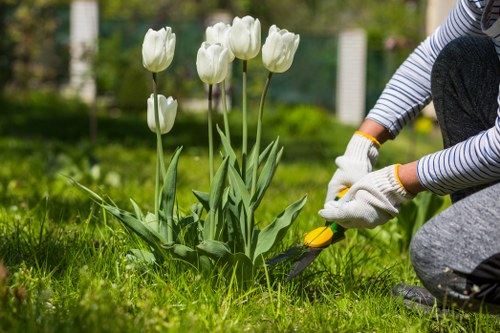 Landscape gardener designing a garden fence