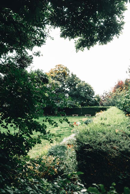 A gardener's hand is visible holding a pair of long-handled hedge shears with yellow and green grips, trimming dense, green foliage in a garden bed. The garden features a neatly maintained lawn with t